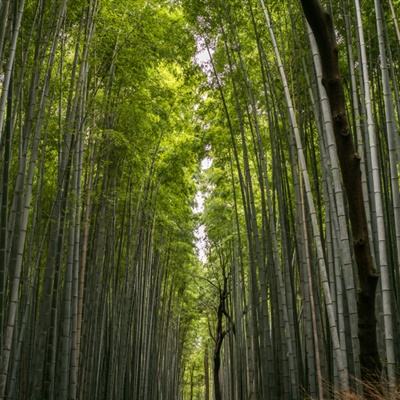沙丘跳球游戏下载